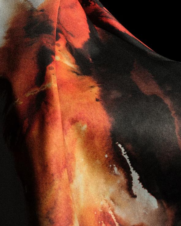 近日聚焦了 近日聚焦了