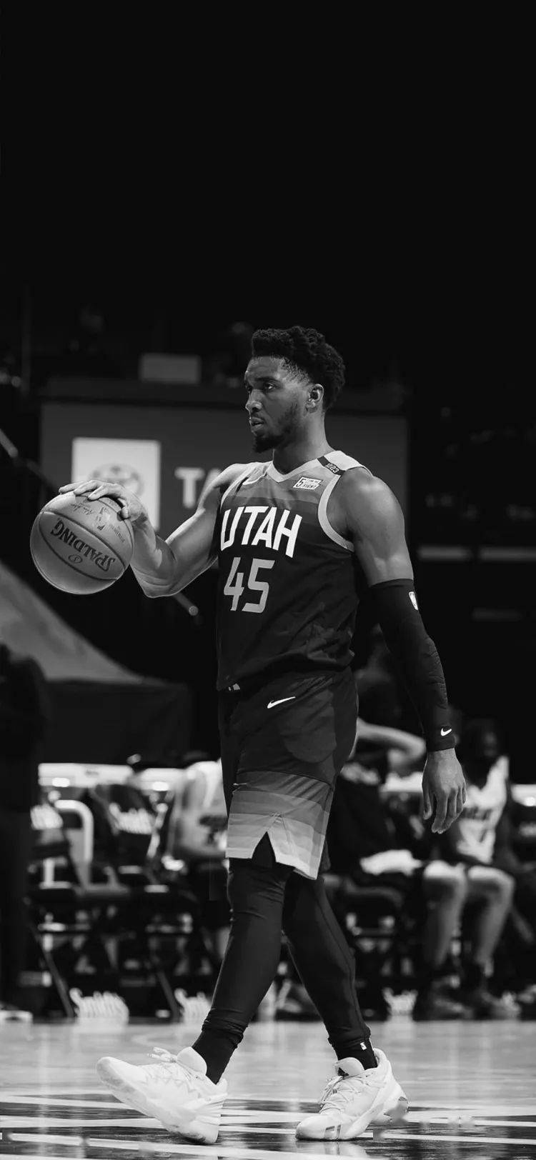 则分成两派 则分成两派